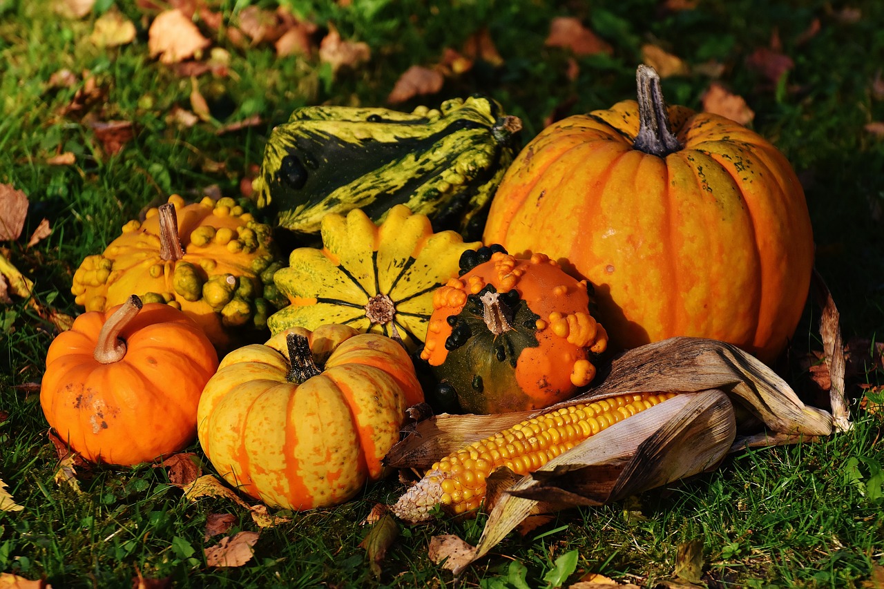 10 Easy Crafts for Celebrating Thanksgiving with Family